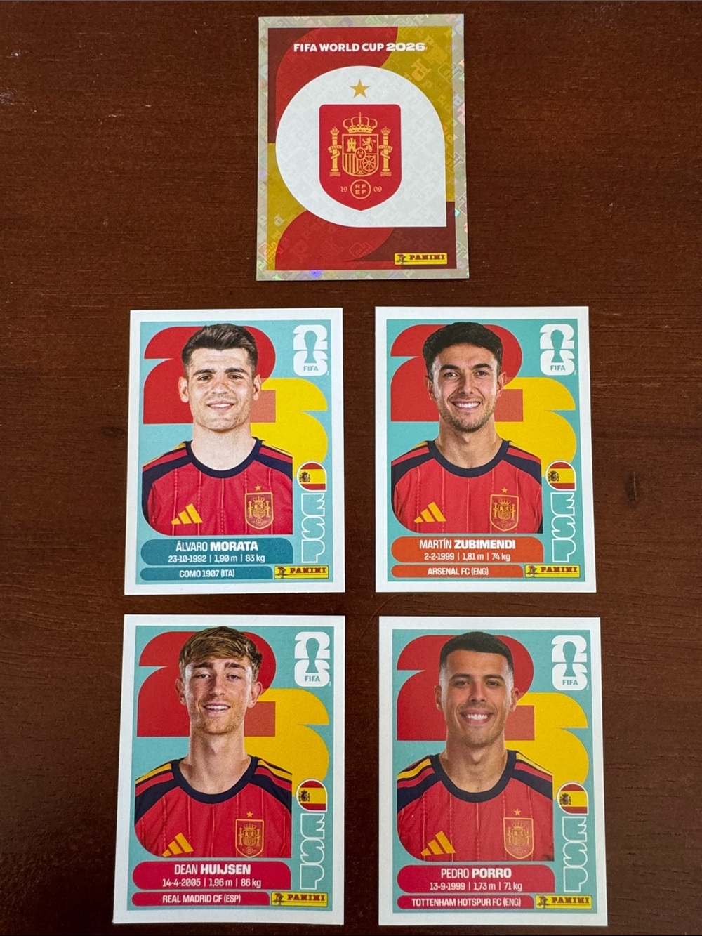 Panini FIFA World Cup Spain Team Sticker Set
